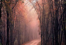 开云体育app-韩国羽毛球队横扫中国羽毛球队，李宗伟绝境逆转