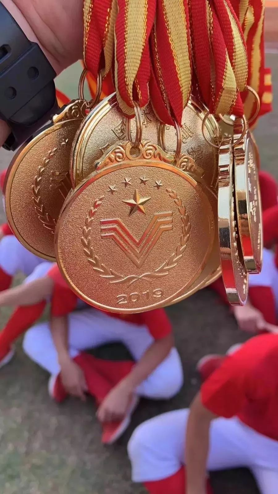 棒球赛季收官，冠军榜单揭晓